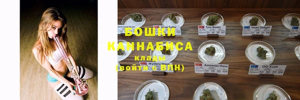 стаф Верхний Тагил