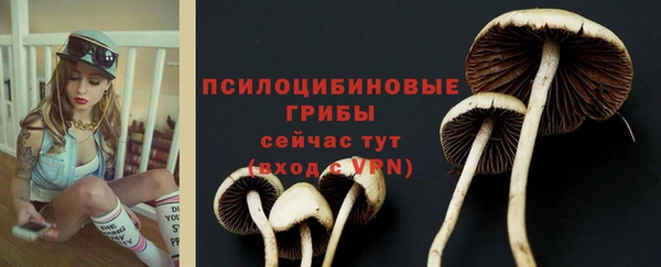 таблы Верея