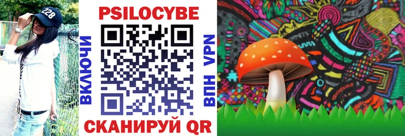Галлюциногенные грибы Psilocybe  где можно купить   Новороссийск 